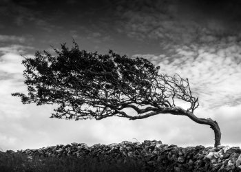 With the Wind - The Burren, Ireland